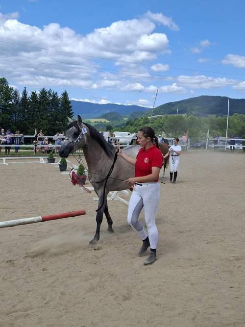 275497d6-049f-42ba-8c02-f2c3db5e2364